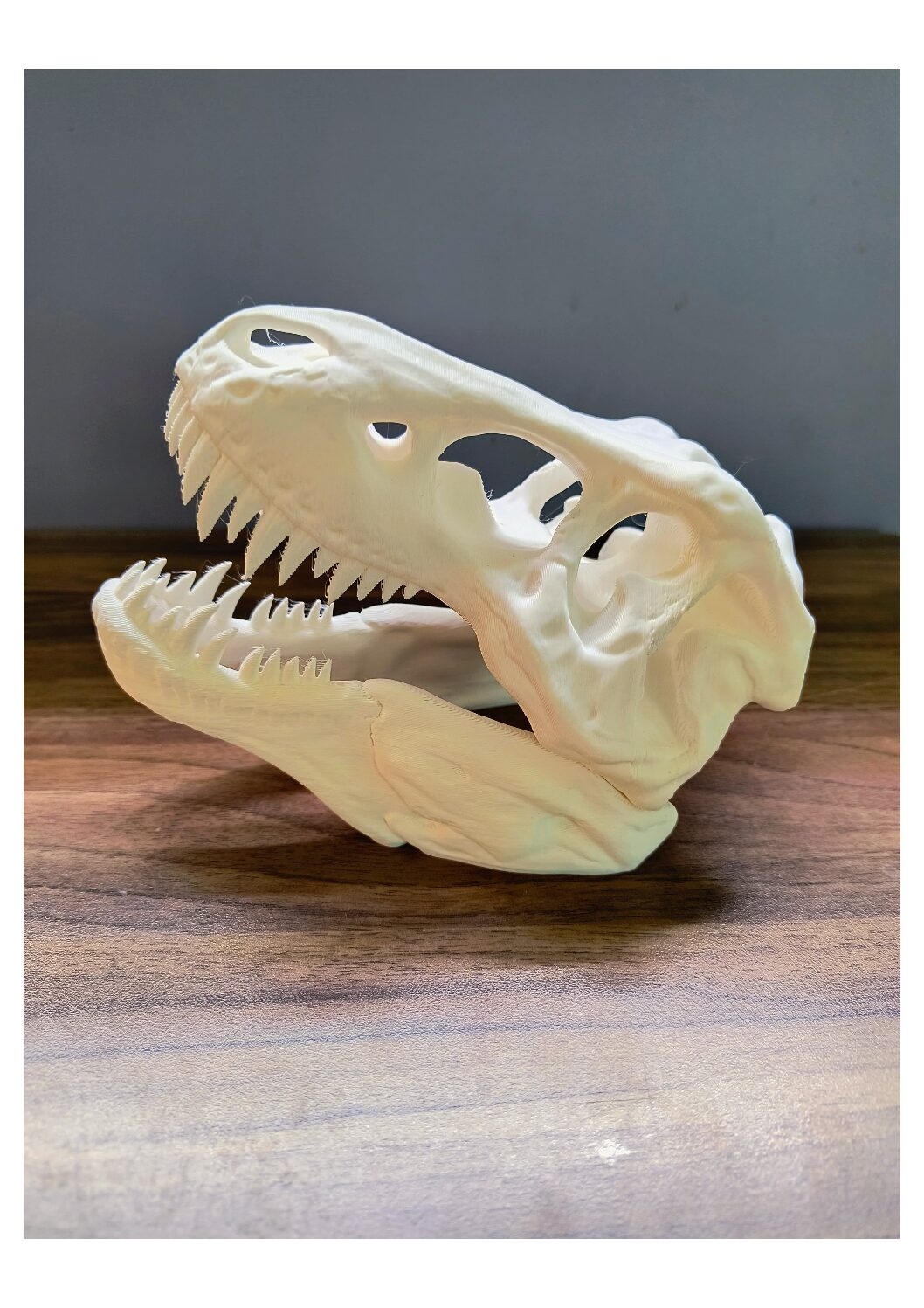 3D Prints & Aquarium/ Terrarium Miniatures