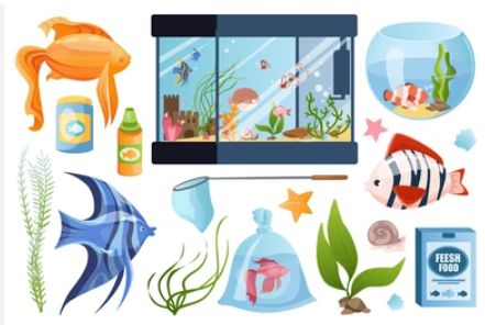 NATURE AQUARIUM ESSENTIALS