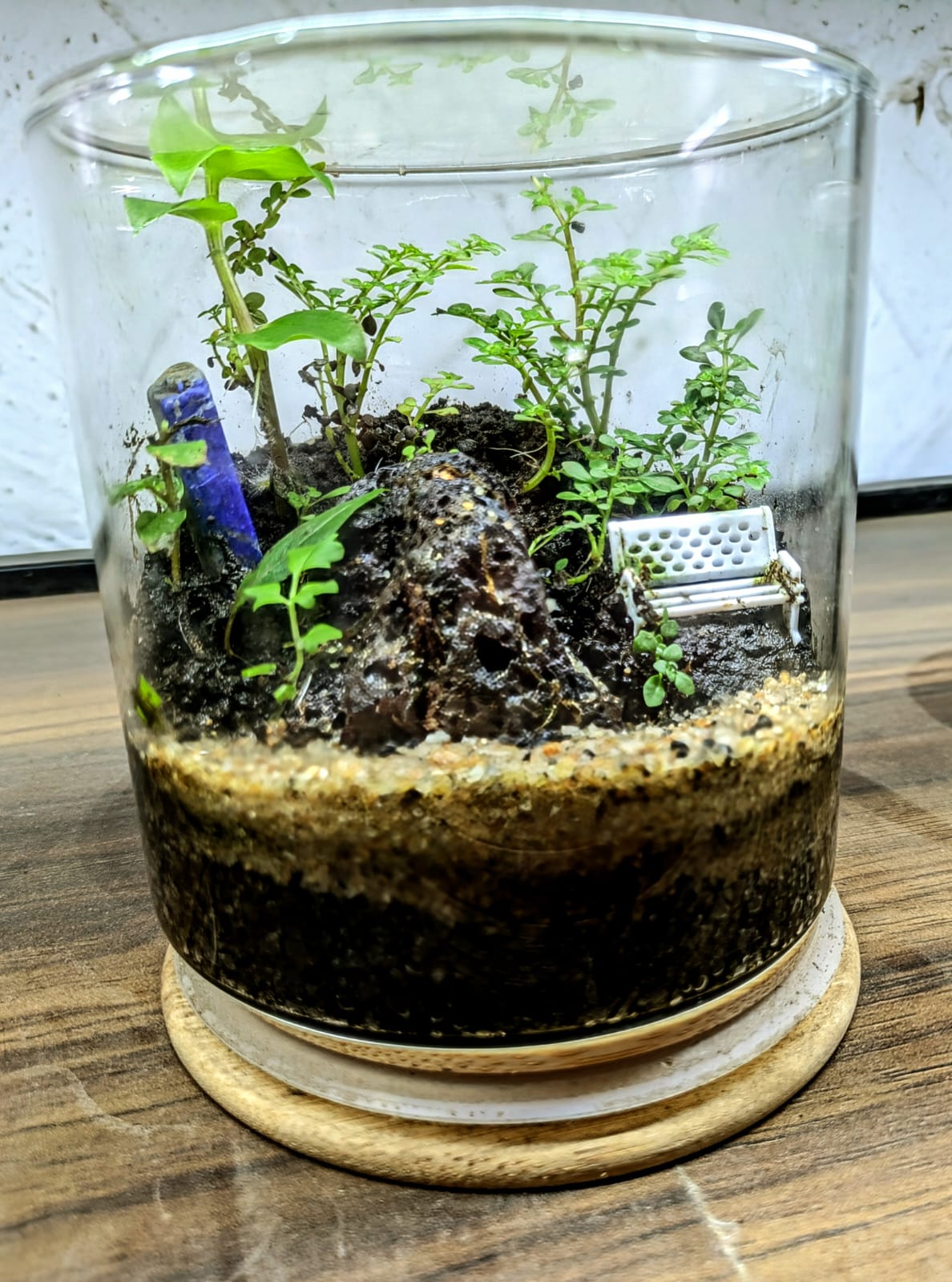 Terrarium 801