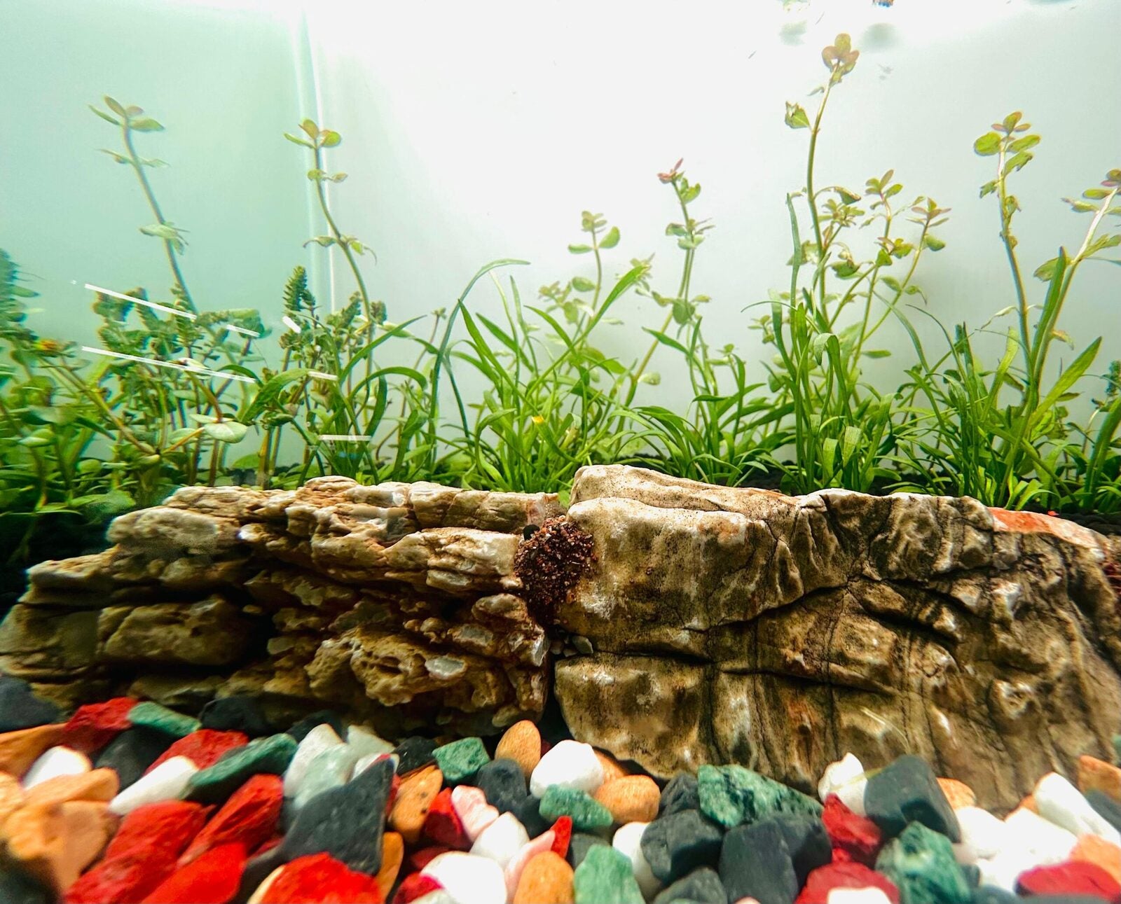 Natural Stonework - 40cm