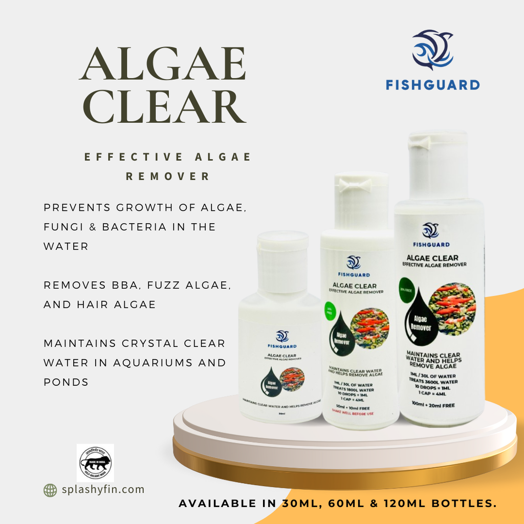 Algae clear