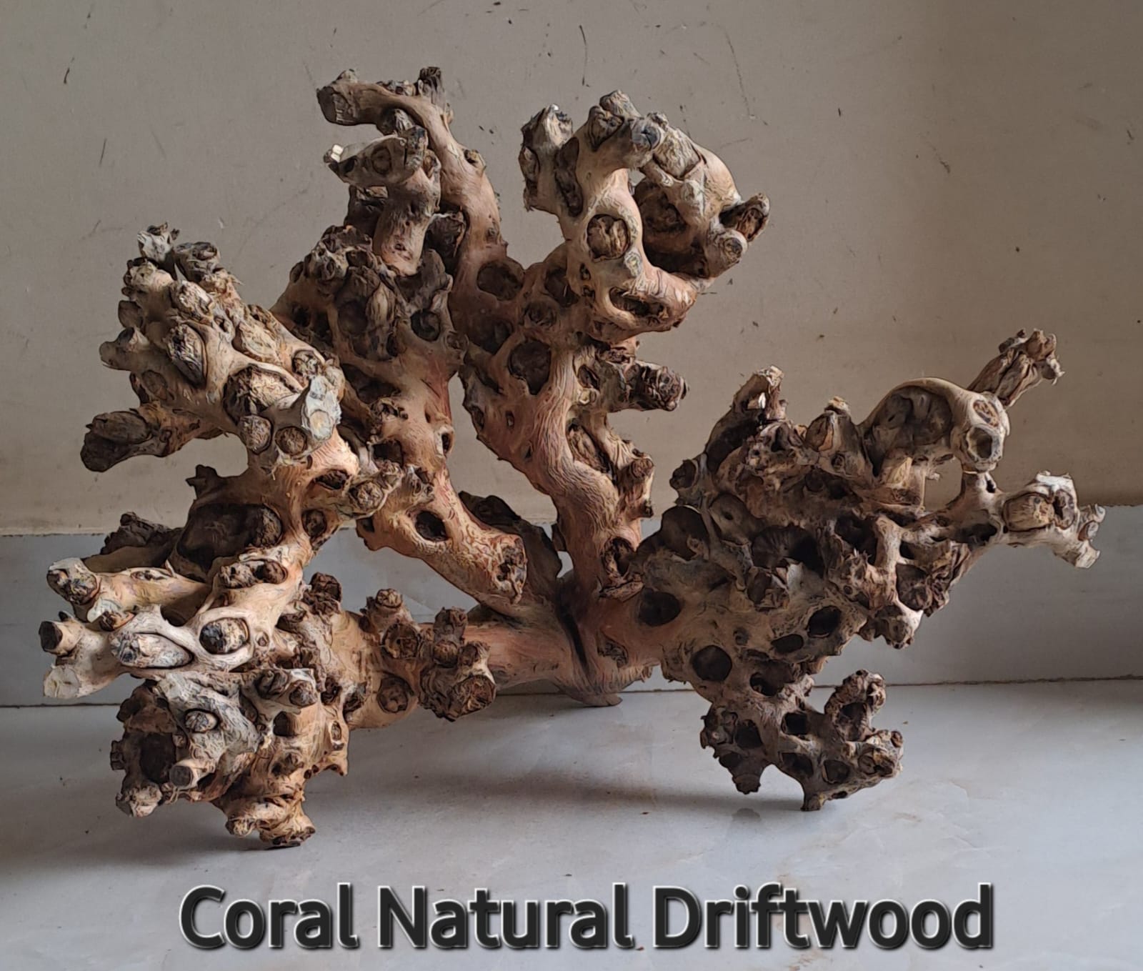 Coral wood (5)