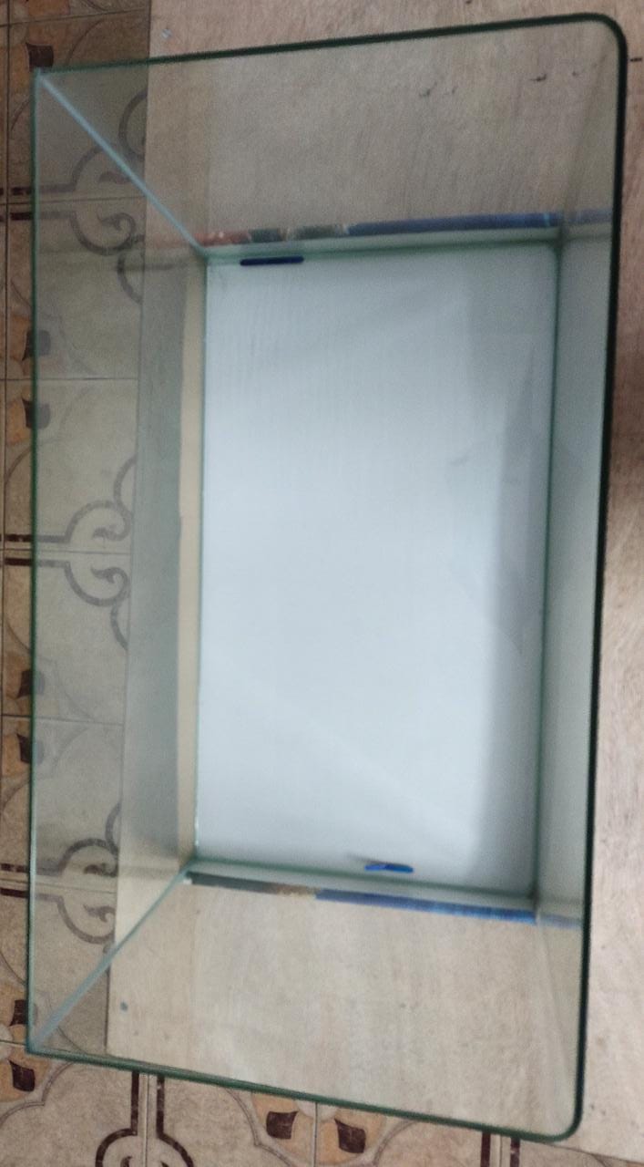 Curved Glass Aquarium Tank - 50 cm (50 x 28 x 30)