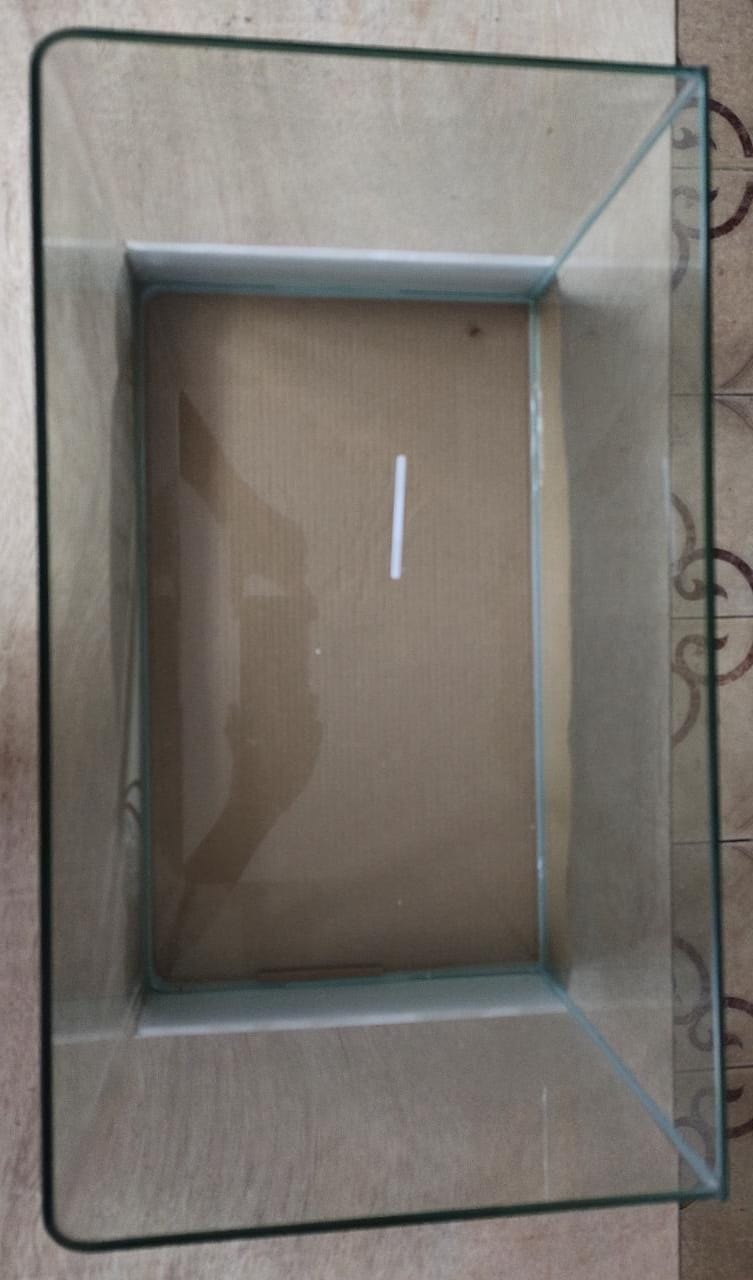 Curved Glass Aquarium Tank - 40 cm (40 x 23 x 25)