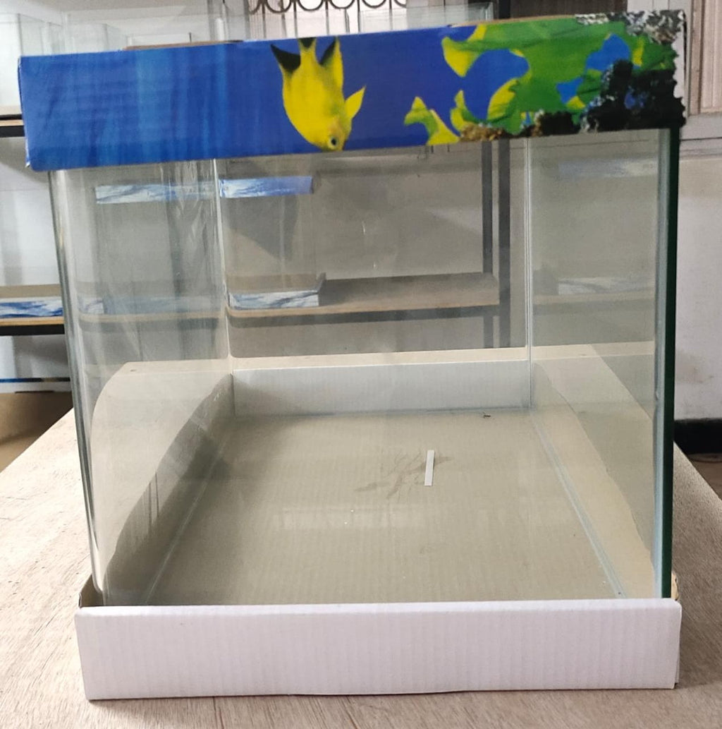 Curved Glass Aquarium Tank - 40 cm (40 x 23 x 25)