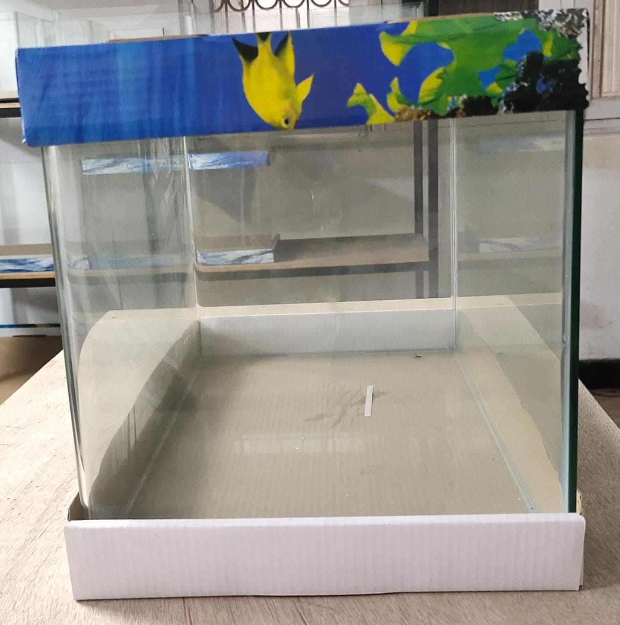 Curved Glass Aquarium Tank - 40 cm (40 x 23 x 25)