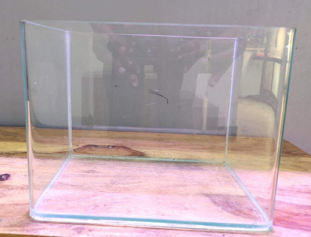 Curved Glass Aquarium Tank – 22 cm