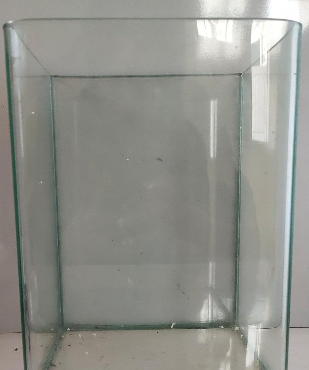 6′ Betta Aquarium Tank (6x6x8) inches