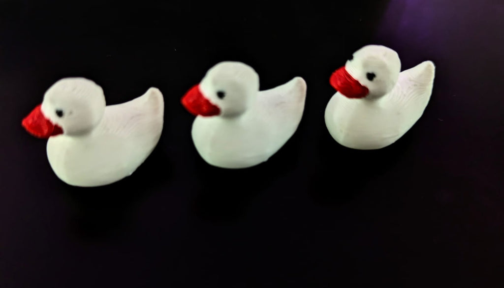 Miniature ducks (2)