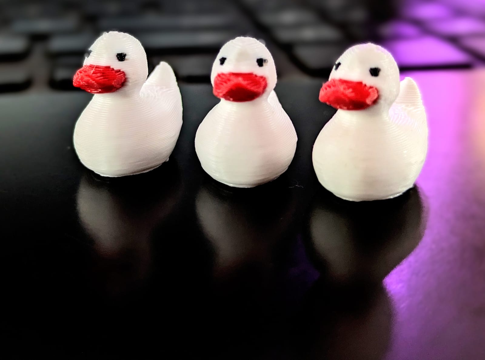 Miniature ducks (3)