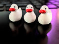 Miniature ducks (3)