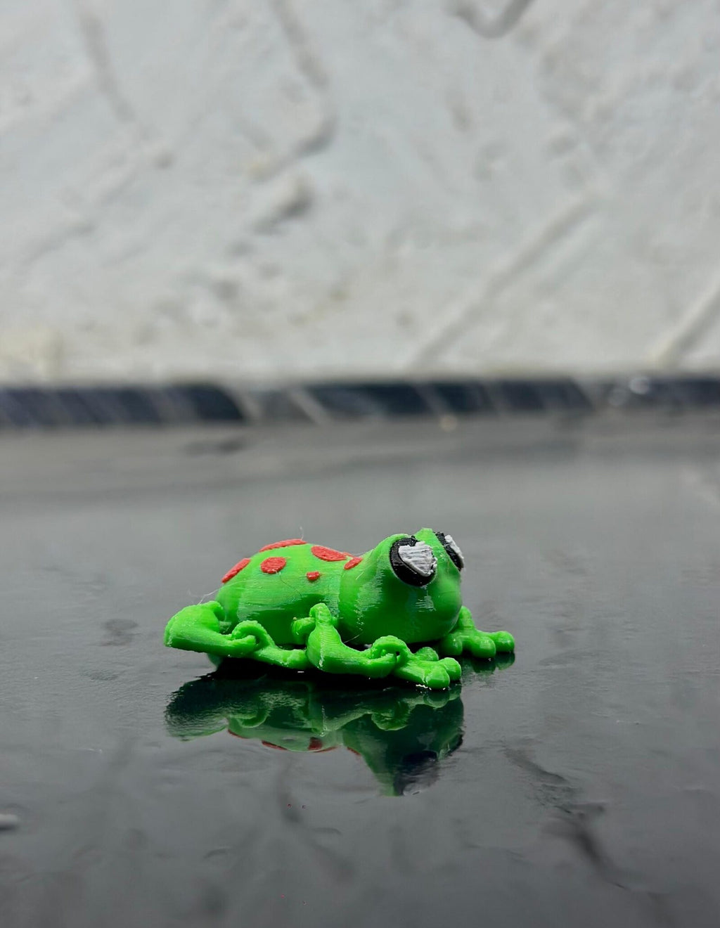 frog1