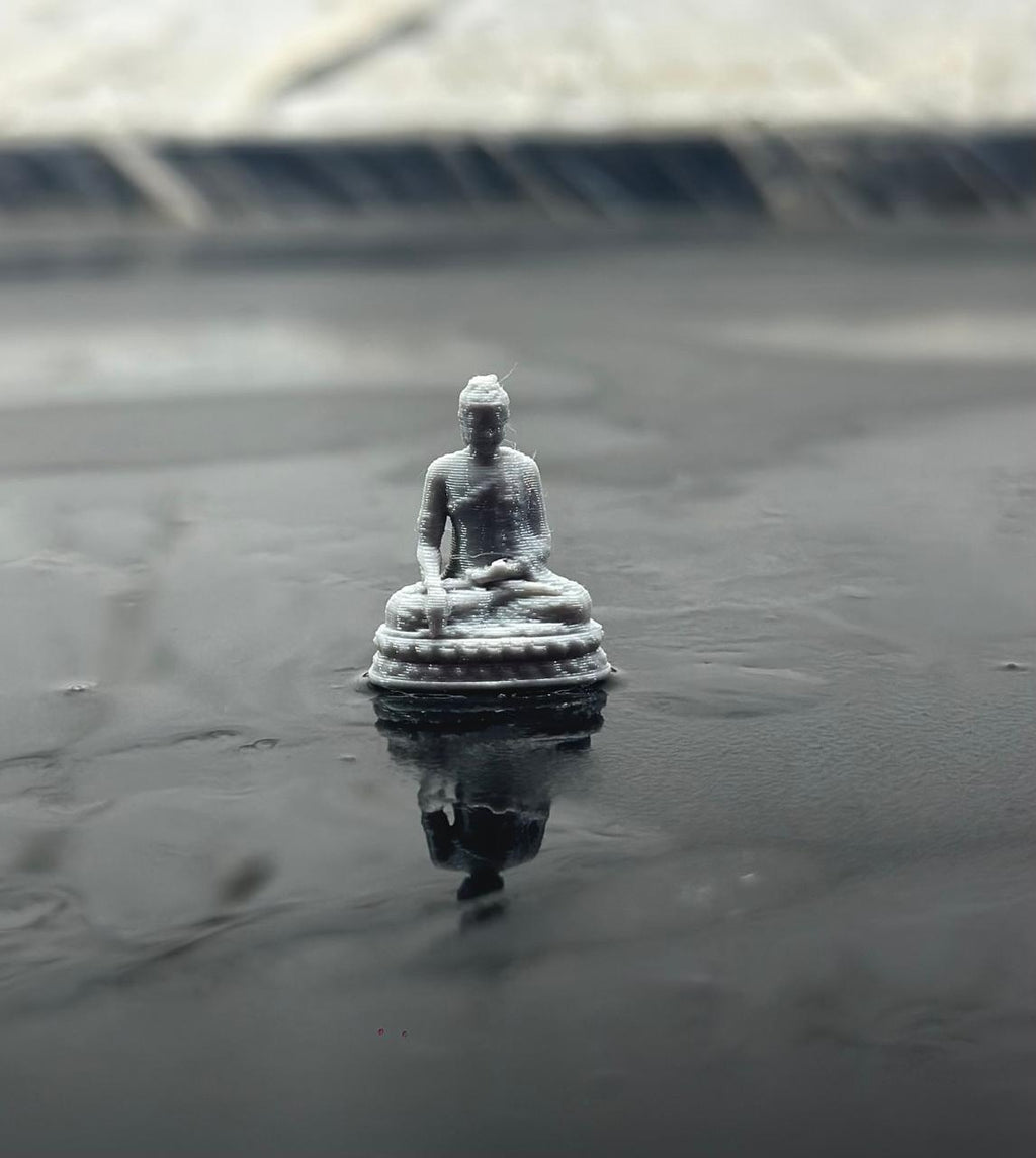 microbuddha (1)