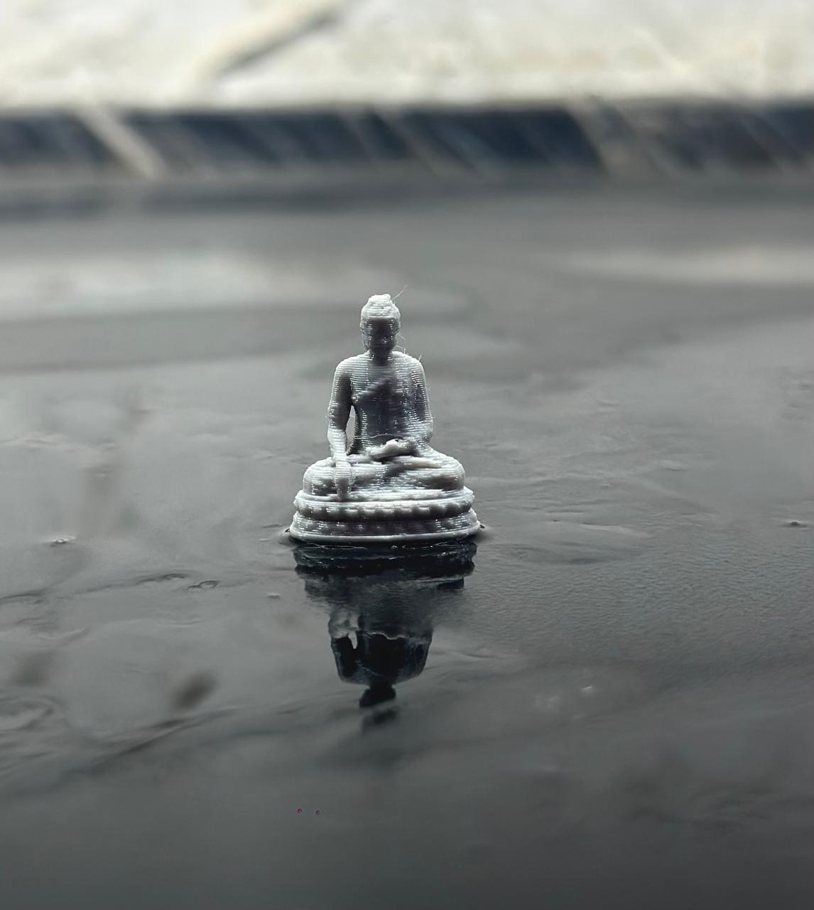 microbuddha (1)