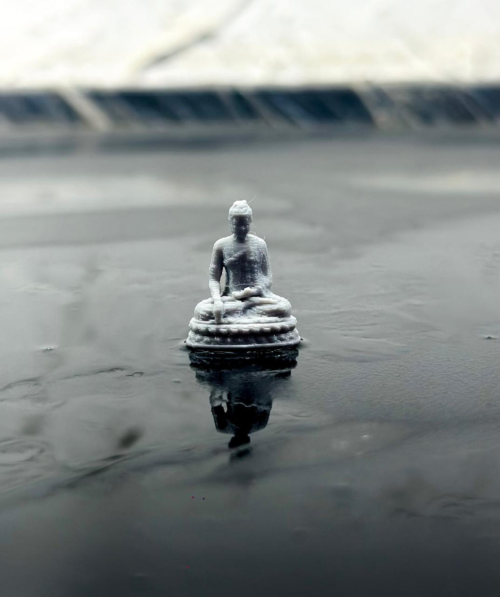 microbuddha (2)