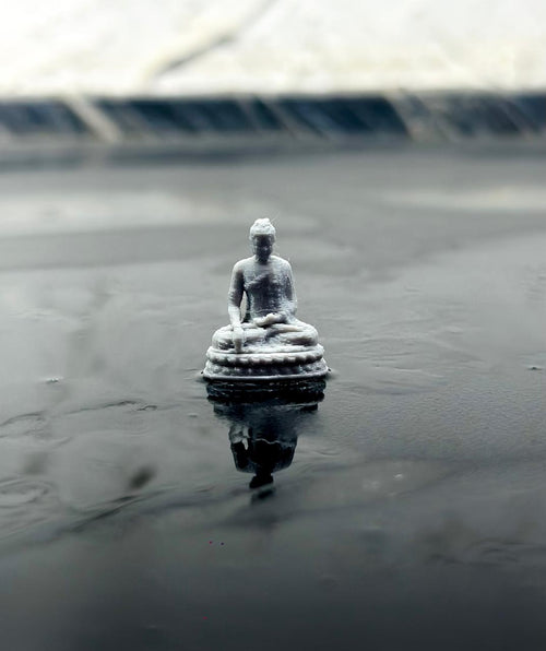 microbuddha (2)