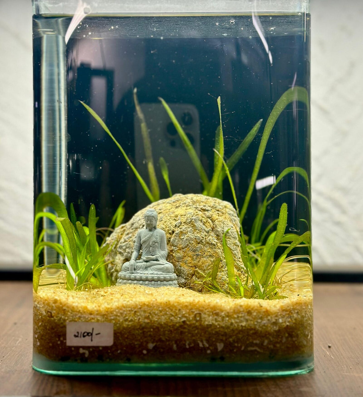 fish aquarium accessories in bangalore The Woody-like Sculpture Dive into a world of