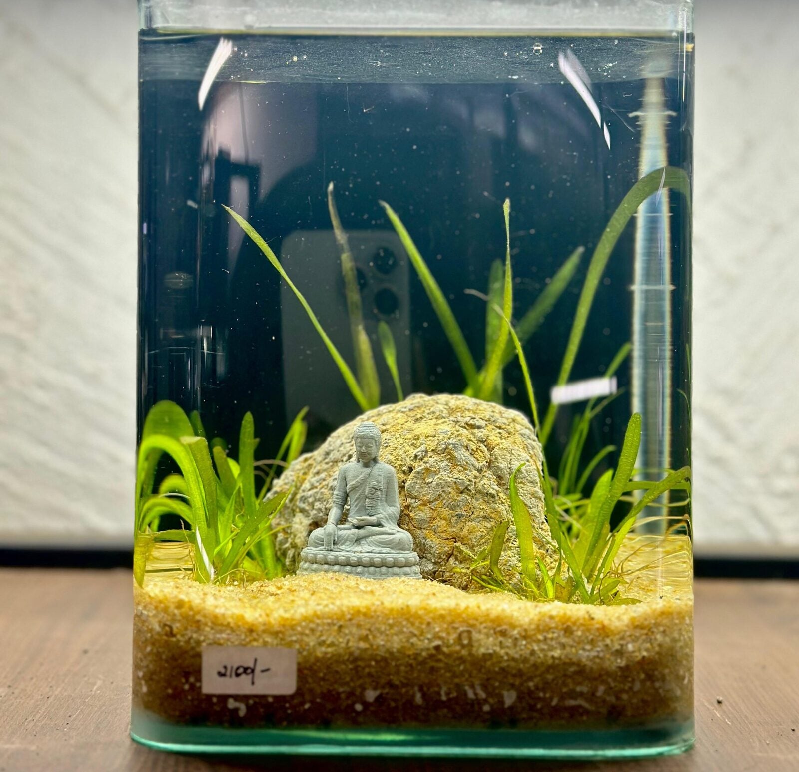 fish aquarium accessories in bangalore The Woody-like Sculpture Ready-made Planted Aquariums Splashy