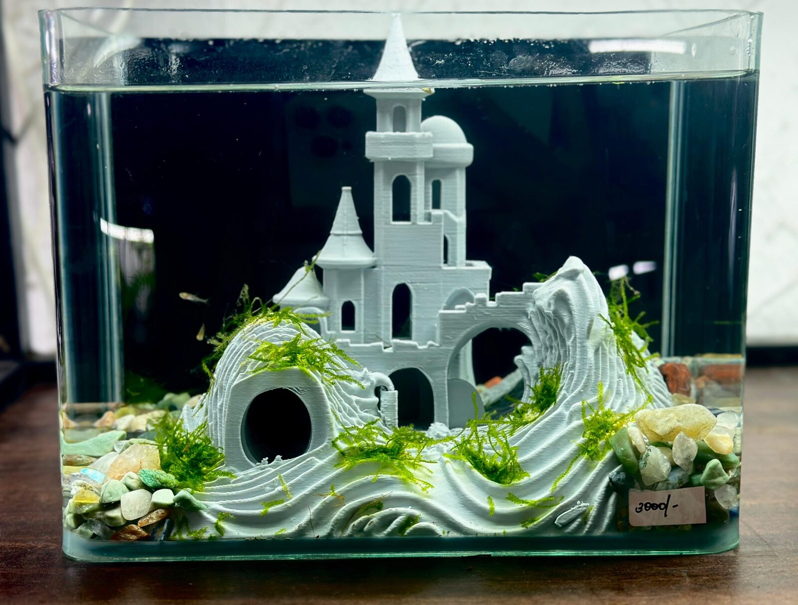 fish tank accessories for sale in mumbai 4 Feet Imported Aquarium Ready-made Planted Aquariums Splashy