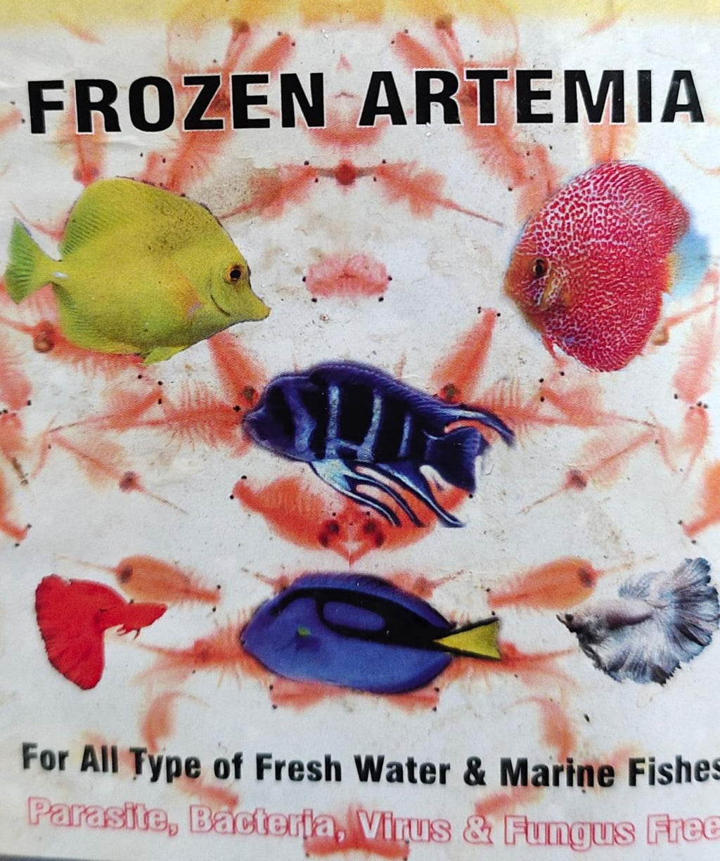 Artemia (500gm)