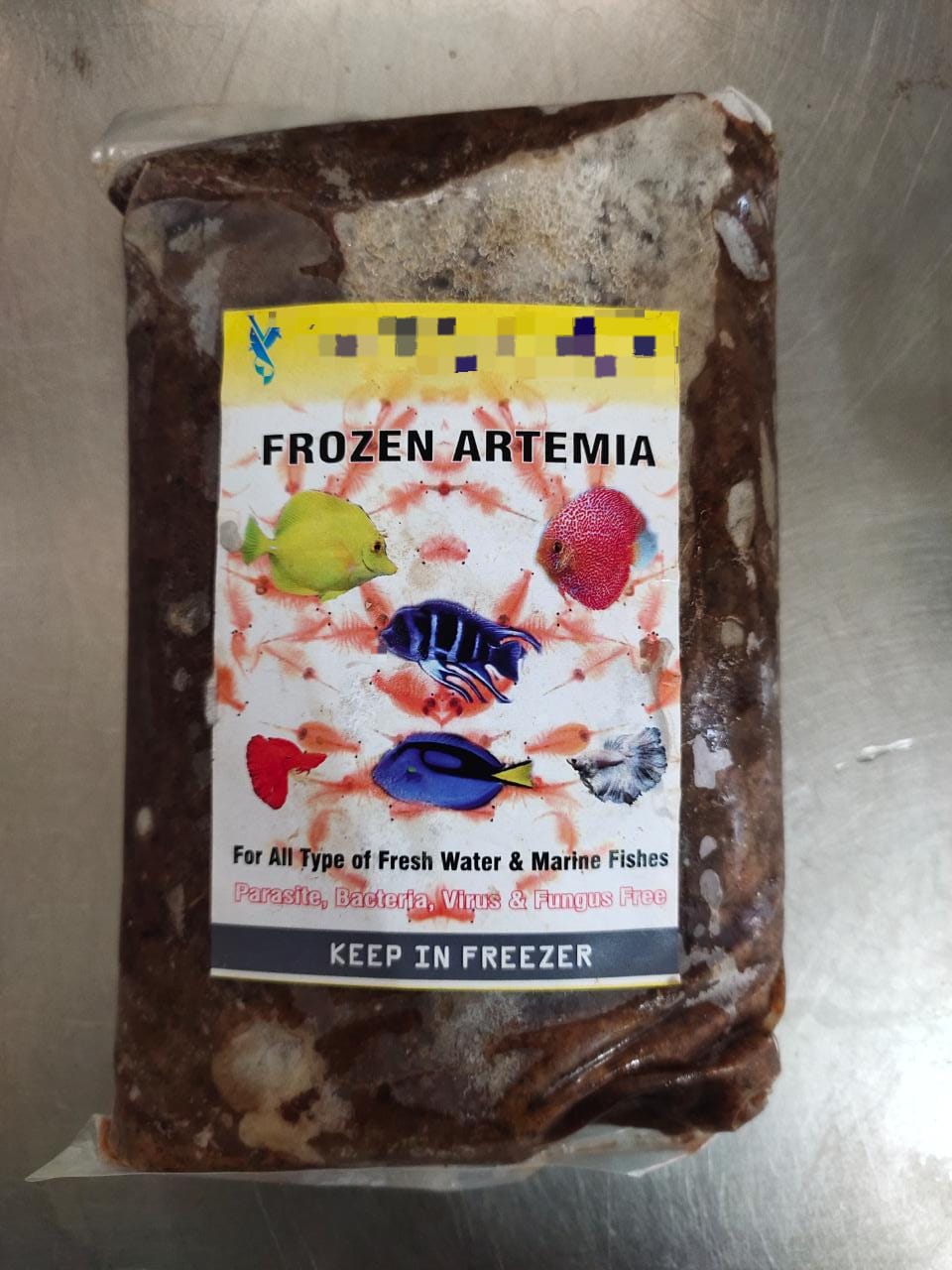 Artemia (500gm)