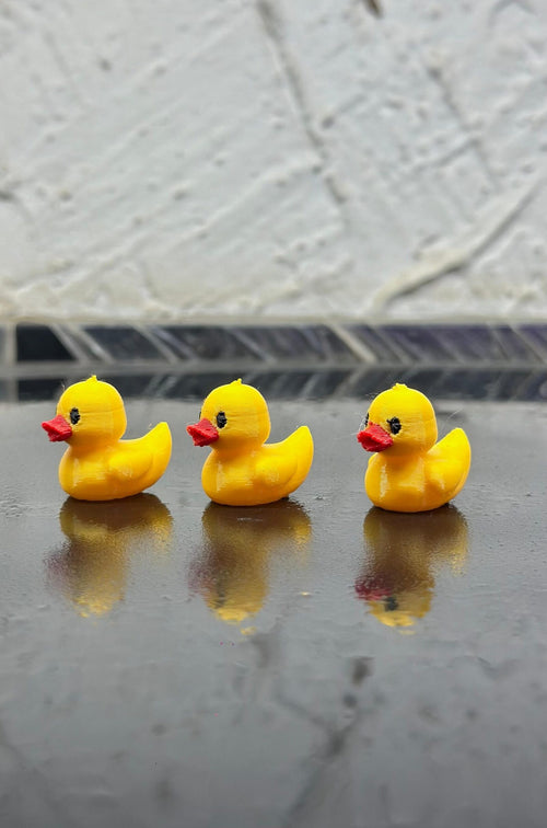 ducks (1)