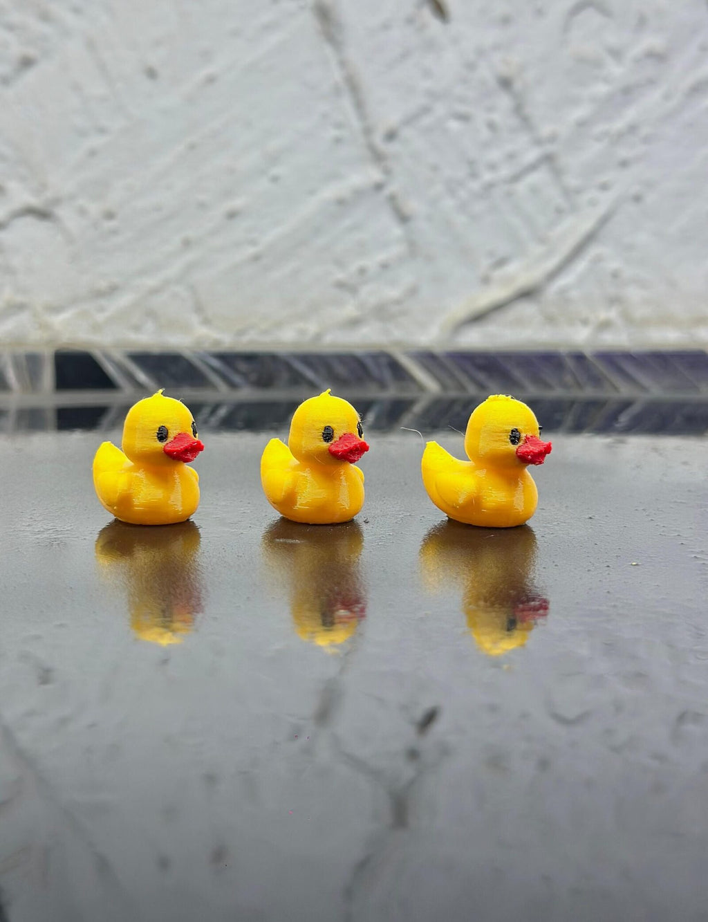 ducks (3)