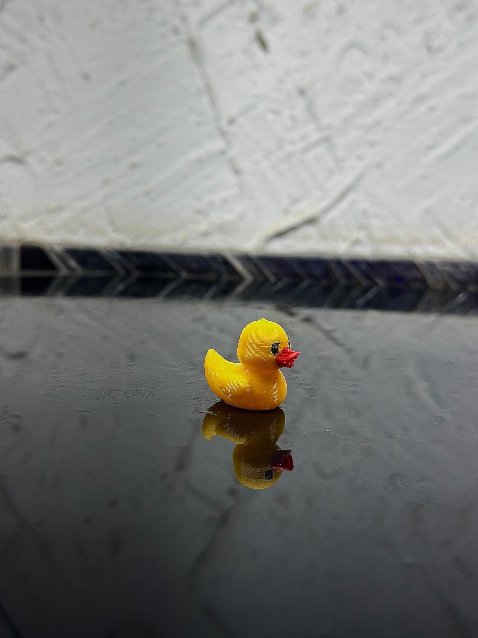 single_duck