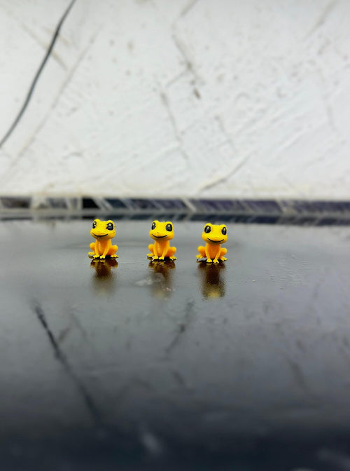 frog (3)