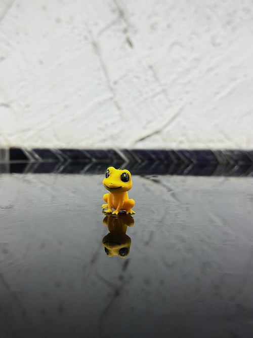 Frog_1 (3)