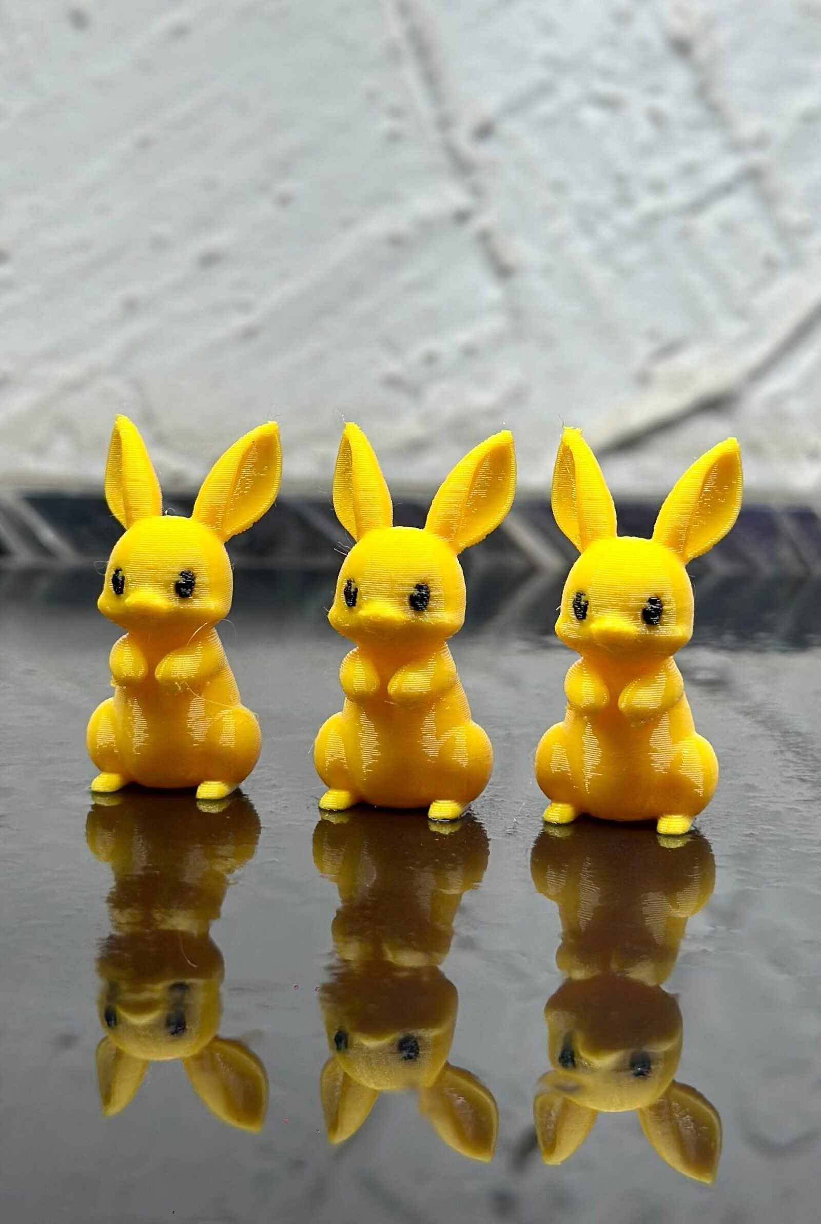 3D Yellow Rabbits / Bunnies – Splashy Fin Aquarium Bengaluru