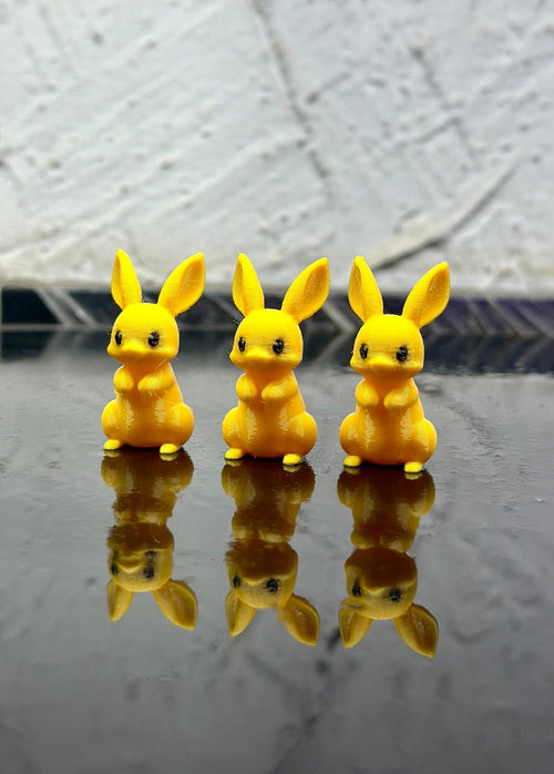 rabbit (2)