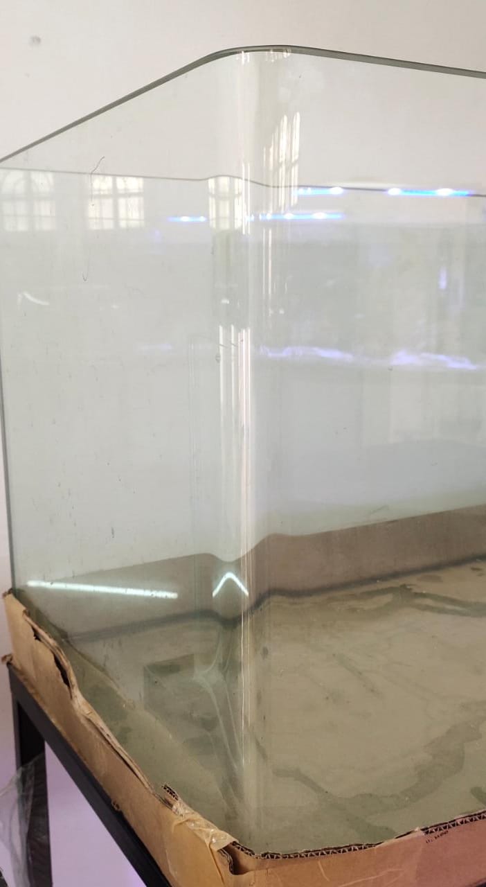 Curved Glass Aquarium Tank – 3 ft