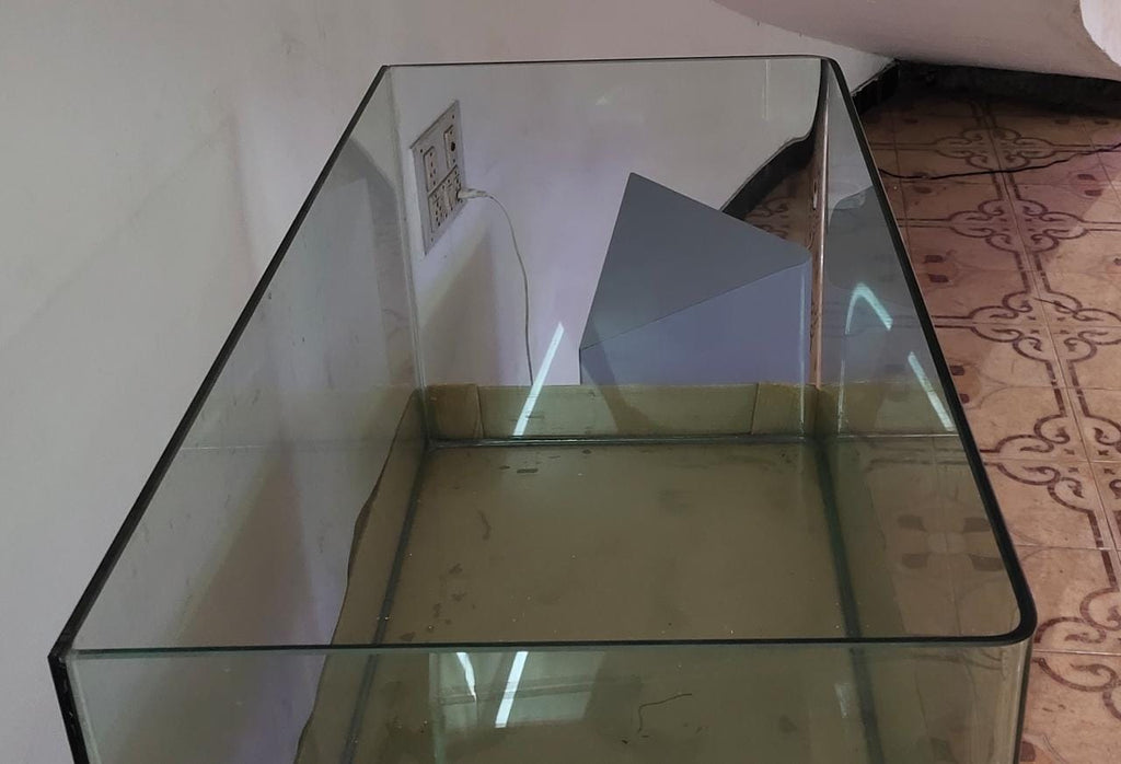 Curved Glass Aquarium Tank – 3 ft
