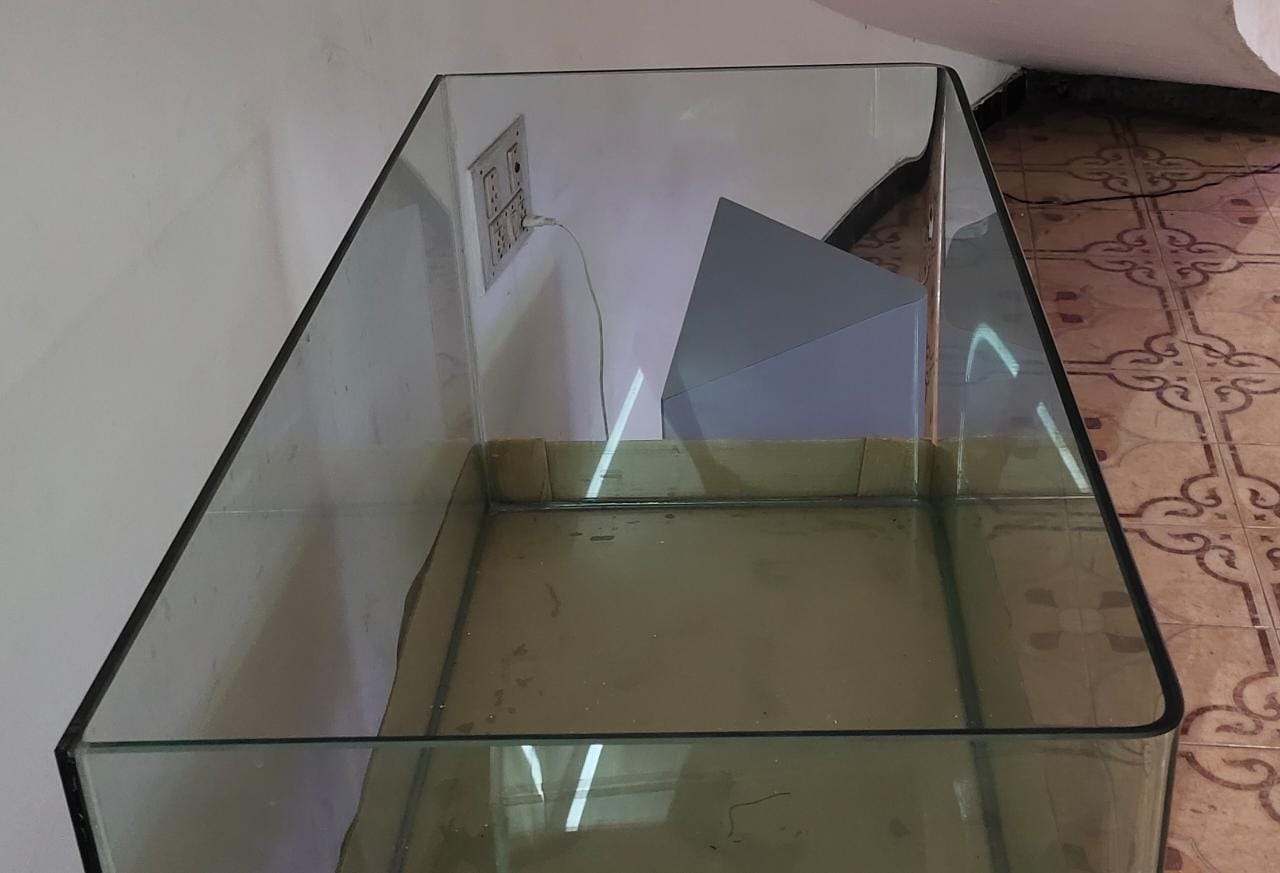 Curved Glass Aquarium Tank – 3 ft