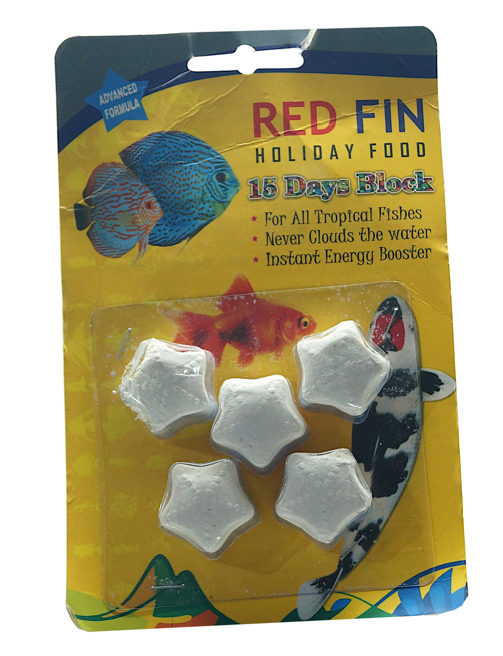 Holiday-Feed-F-scaled-1