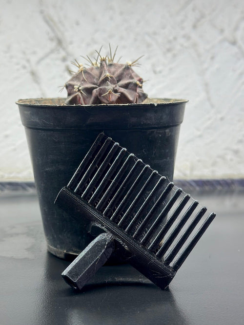Rake head
