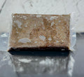 Frozen Artemia