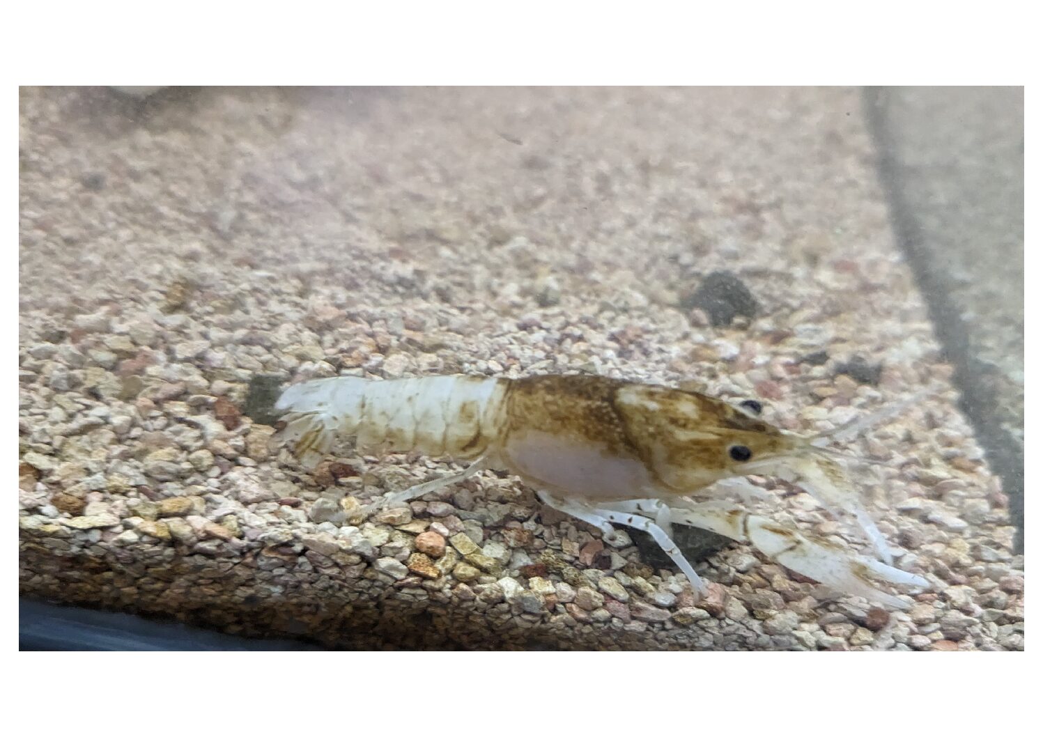 WhatsApp Image 2024-01-26 at 11.56.09 AM (2)