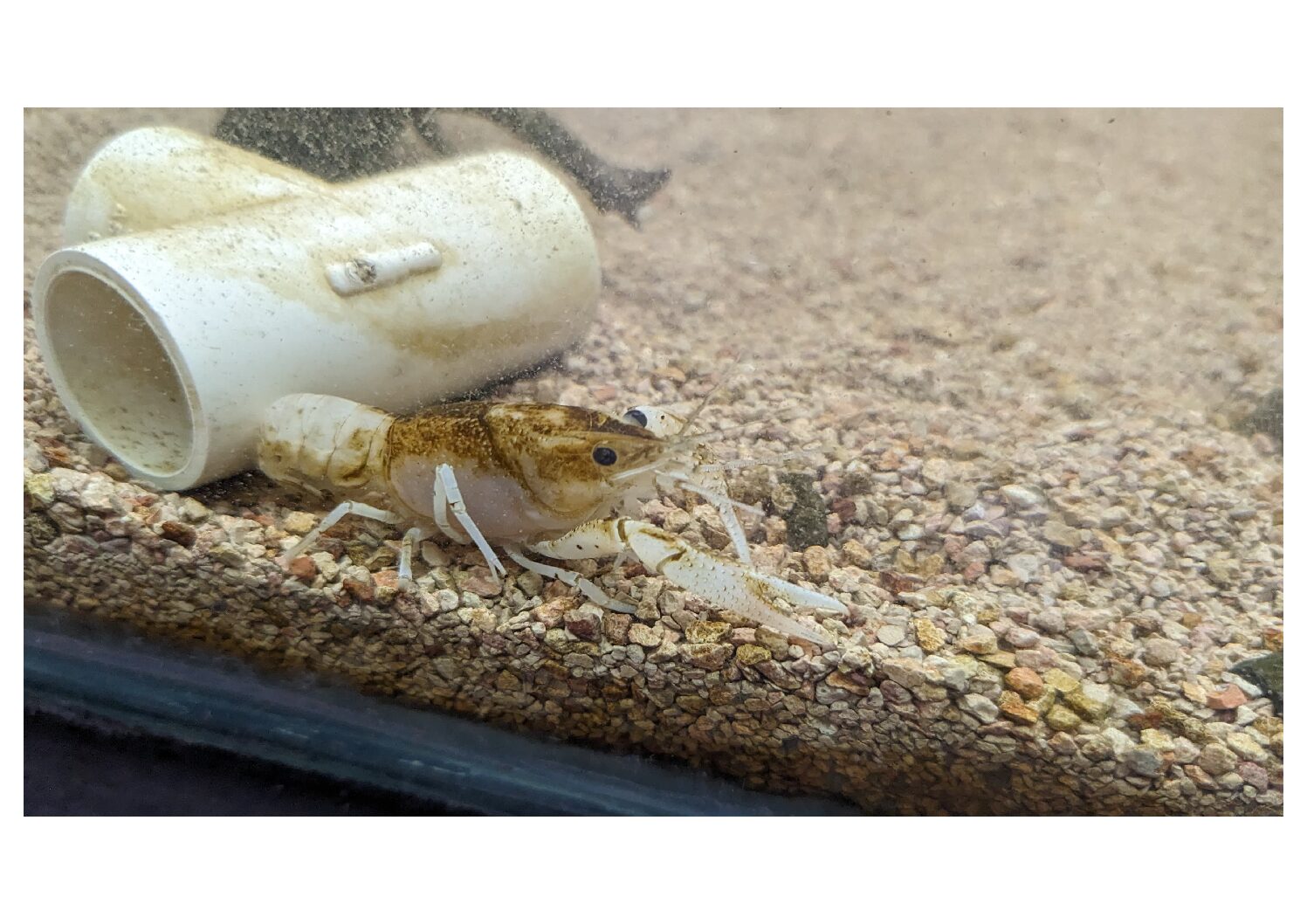 WhatsApp Image 2024-01-26 at 11.56.10 AM