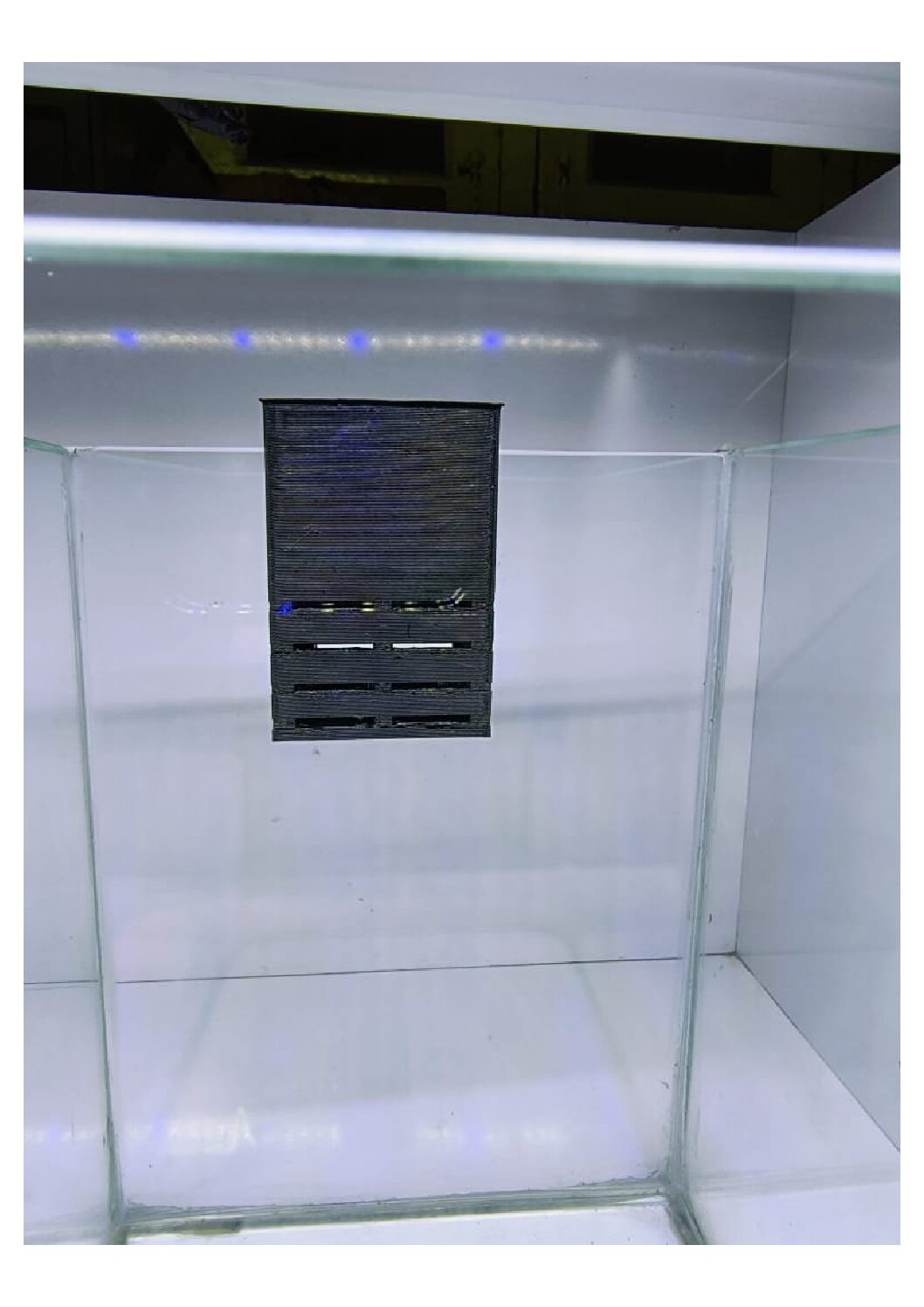 Aquarium-plant-holders-6