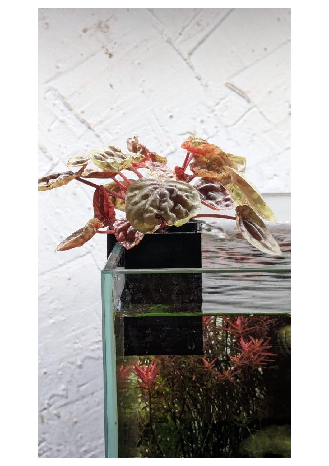 WhatsApp-Image-2024-01-12-at-7.06.59-PM-1