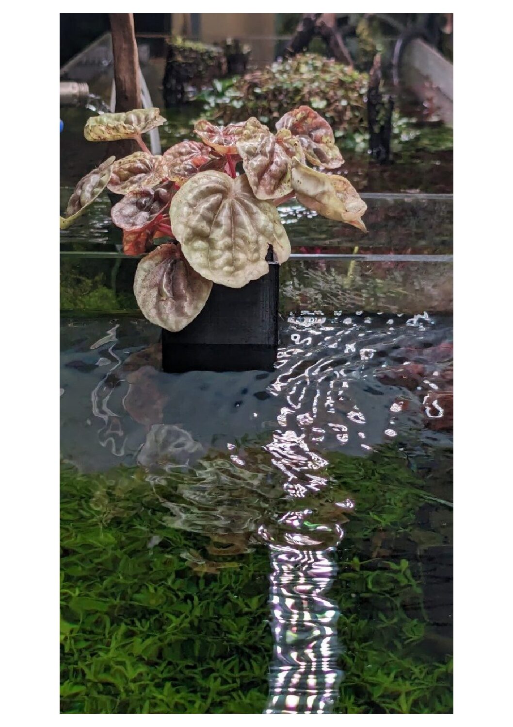 WhatsApp-Image-2024-01-12-at-7.06.59-PM-2