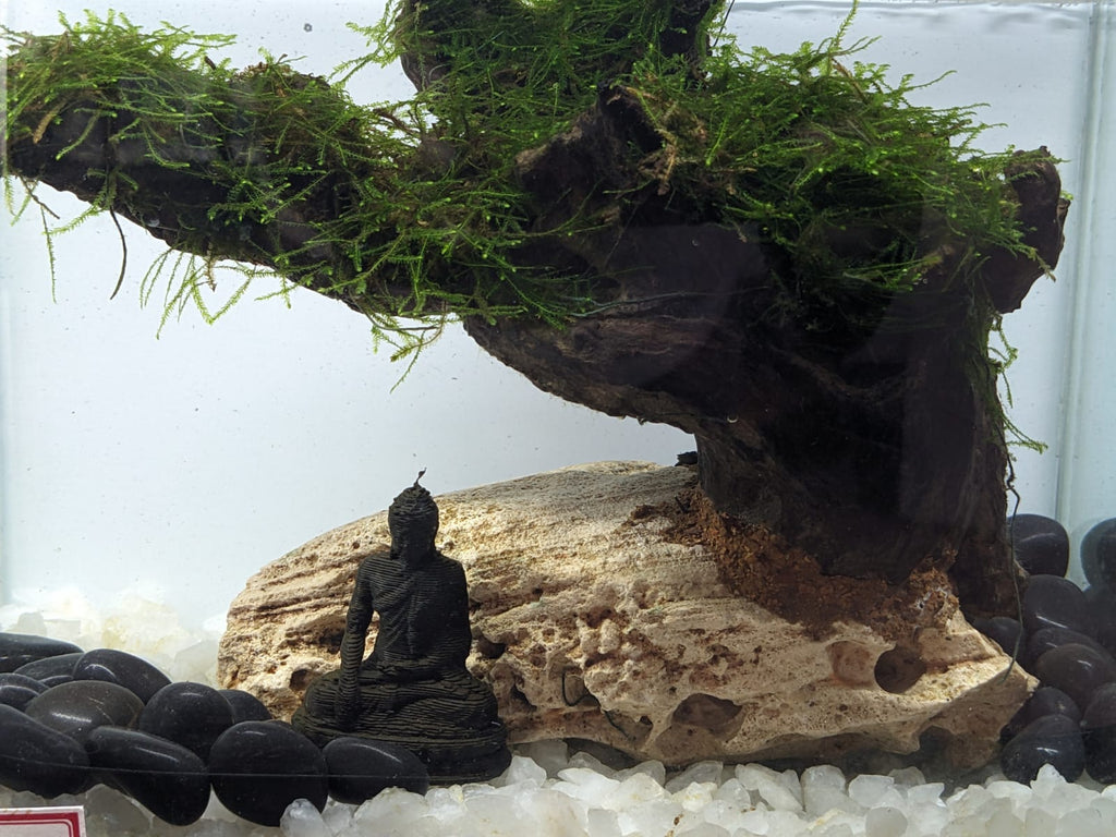 Immerse in Tranquility Find Serenity in Every Ripple (1)