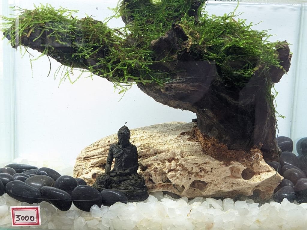 Immerse in Tranquility Find Serenity in Every Ripple (2)