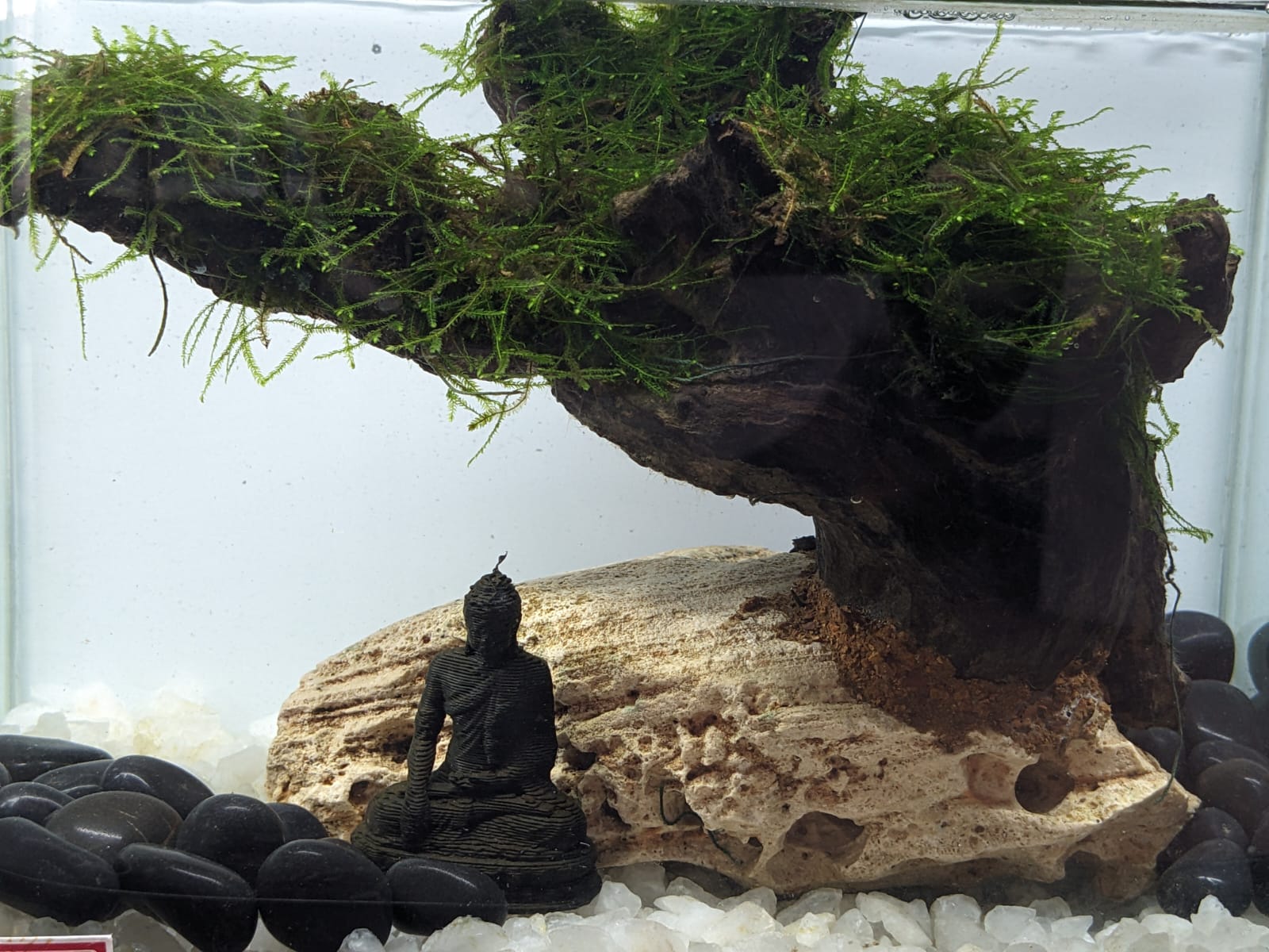 Immerse in Tranquility Find Serenity in Every Ripple (3)