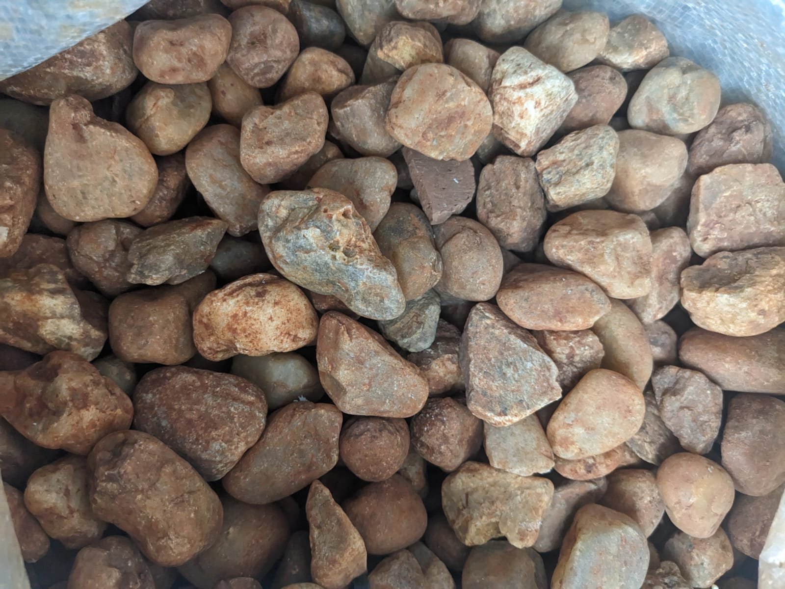 Small brown pebbles
