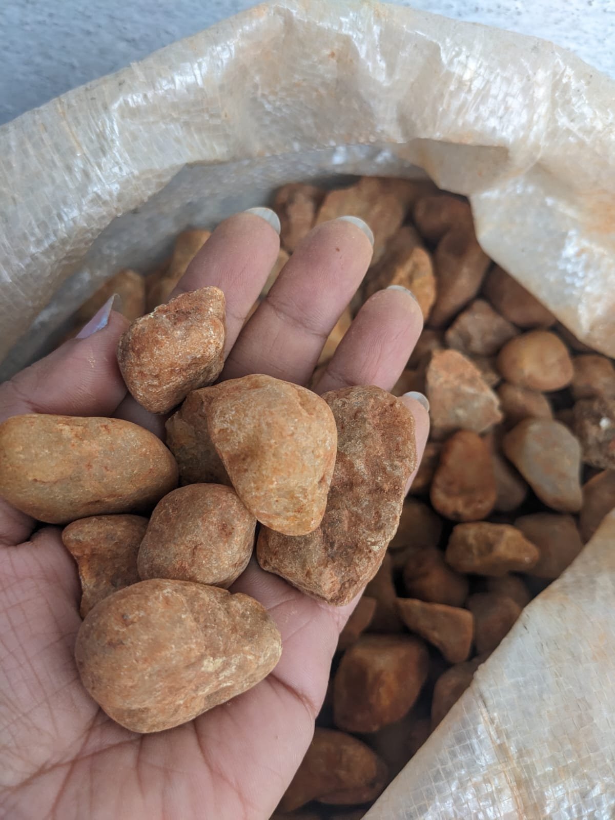 Small brown pebbles