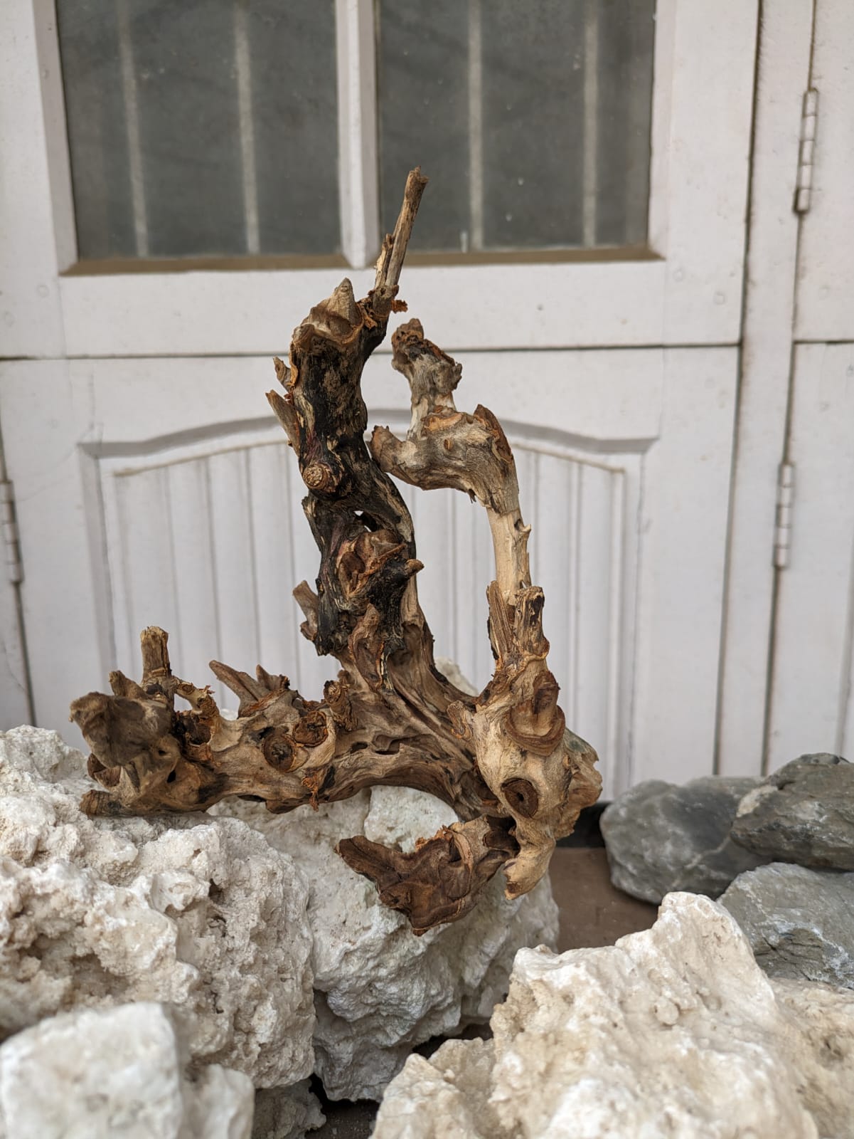 Instant Tree Wood