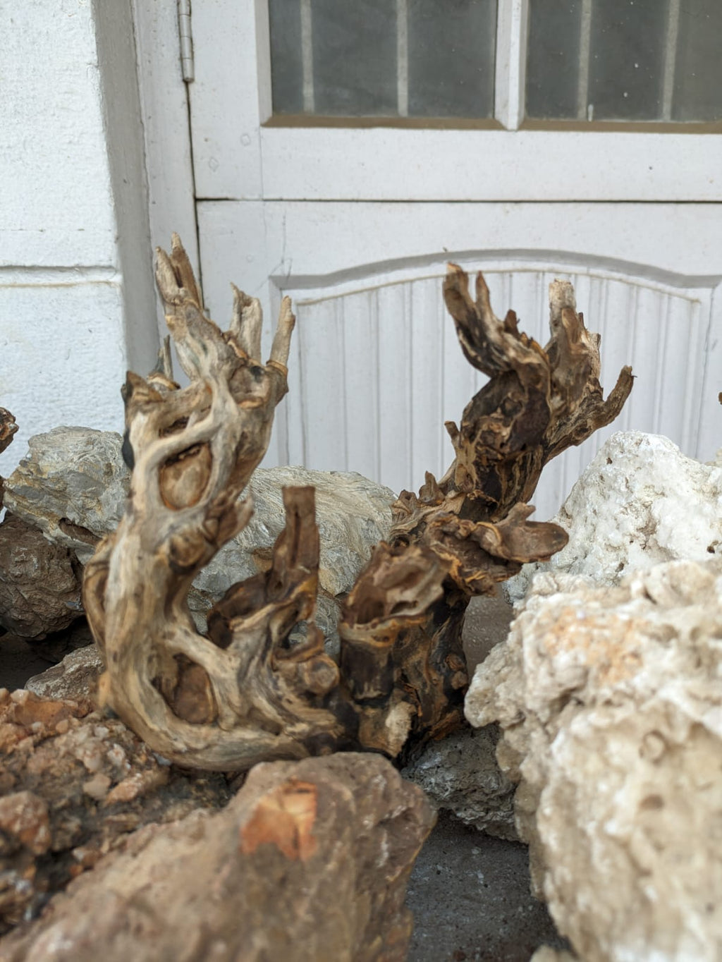 Instant Tree Wood